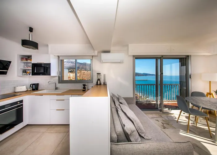 Le Dauphin - Vue Exceptionnelle - Clim - Wifi