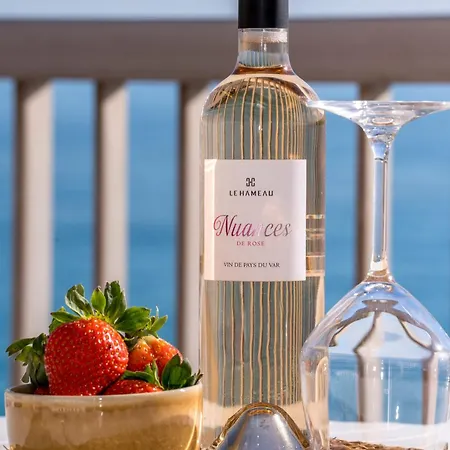 Le Dauphin - Vue Exceptionnelle - Clim - Wifi * 멍똥